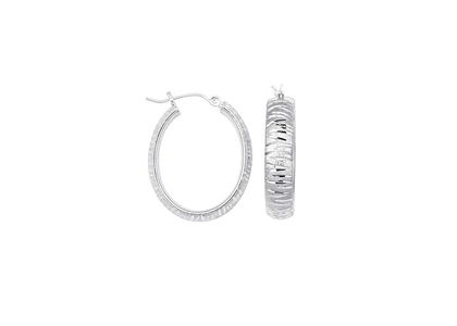 Rhodium Plated | Fashion Earrings